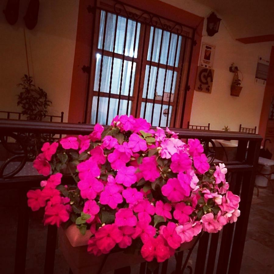 Casa De Aldea La Pescal旅馆 外观 照片